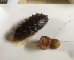 Abalone y holoturia (pepino de mar) ¿nuevos productos en nuestras mesas?